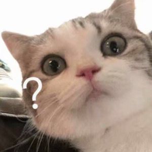 国产一级特黄高清大片免费
