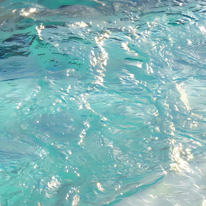 国产一级特黄高清大片免费
